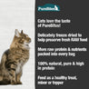 PureBites- Freeze Dried Minnow Cat Treat - Raw 101